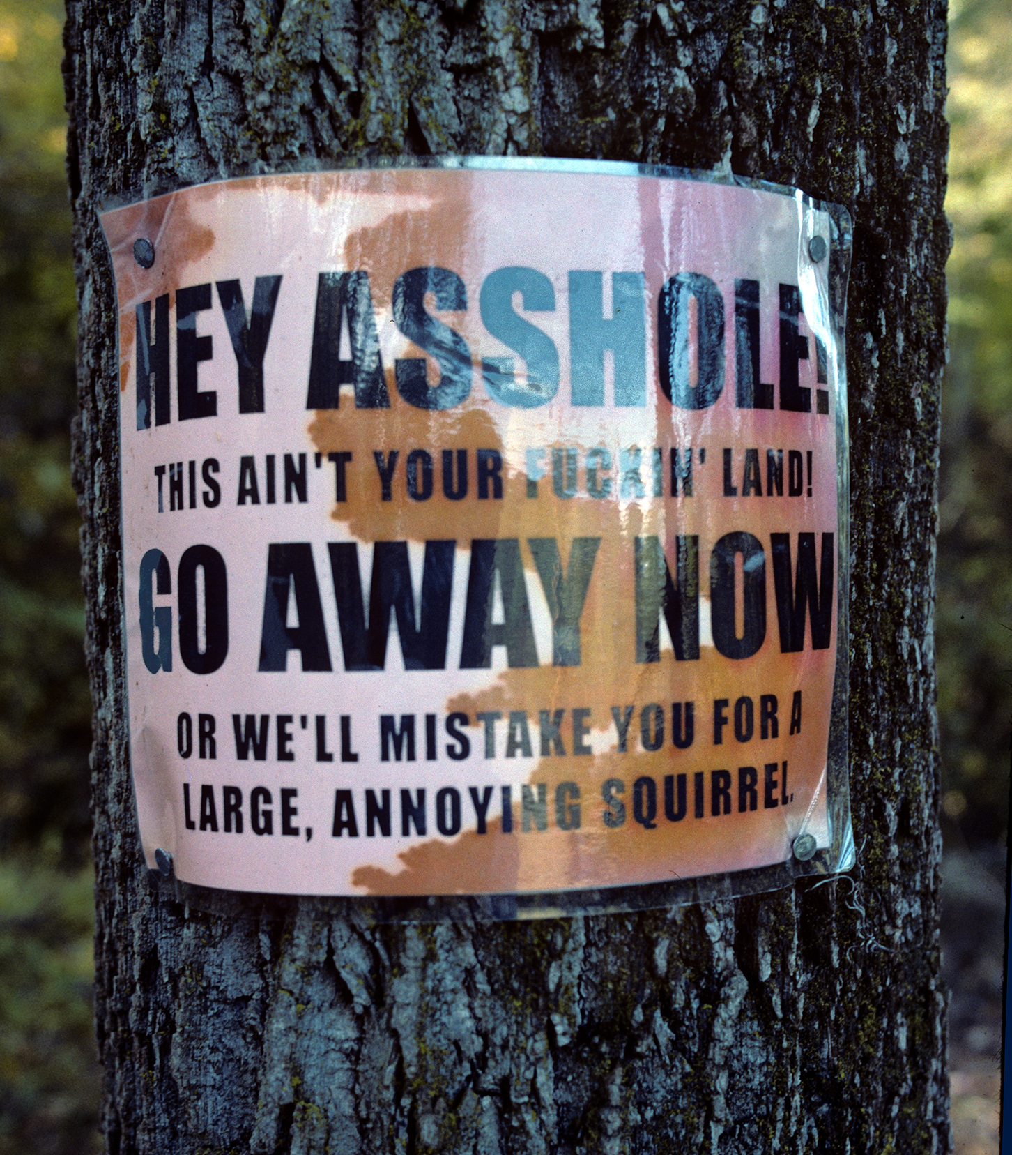 Pictures of the Lost Source.