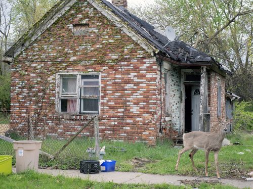 House & Deer, East 68th Street, 2024