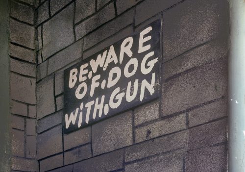 Beware of Dog With Gun, East 36th Street