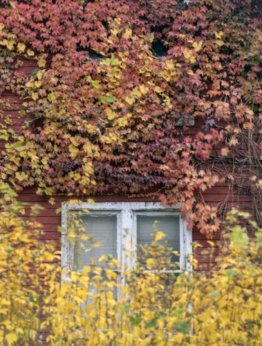 Windows,House, East 73rd Street