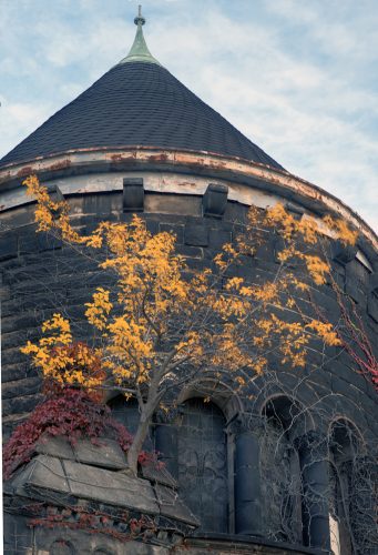 Tree, Freindship Baptist Church, East 55th Street