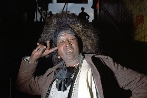 Sweet Pea Inside Subway Entrance