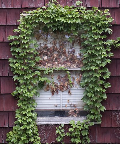 House, East 83rd Street, Cleveland
