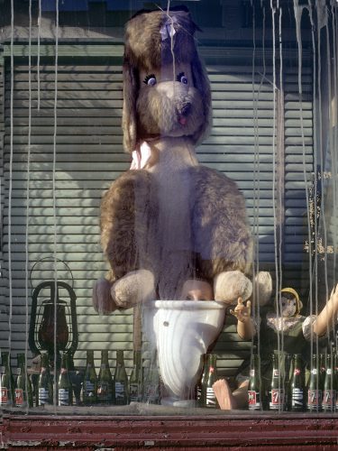 Old Shop, Poodle on a Toilet, Metropolitan Avenue, Williamsburg, Brooklyn, 1986